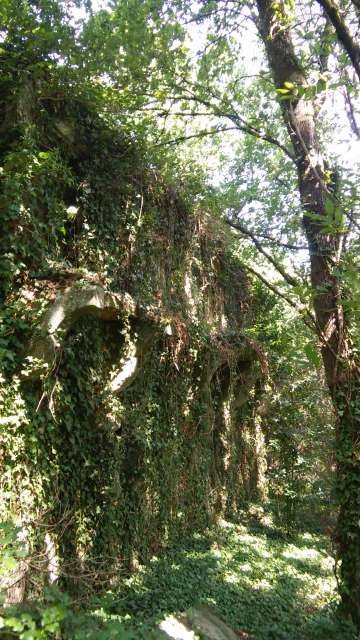 imagen 2 de Venta de preciosa finca en Vedra (La Coruña)