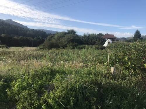 imagen 1 de Venta de finca en Boiro (La Coruña)