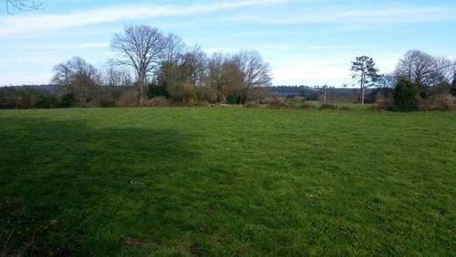 imagen 1 de Venta de finca en Curtis (La Coruña)