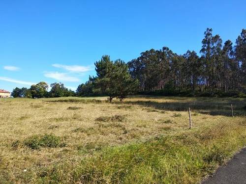 imagen 1 de Venta de finca en San Sadurniño/Saturnino (La Coruña)
