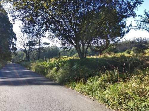 imagen 1 de Venta de finca en San Sadurniño/Saturnino (La Coruña)