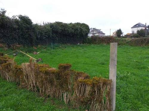 imagen 1 de Venta de magnífica parcela en Cee (La Coruña)
