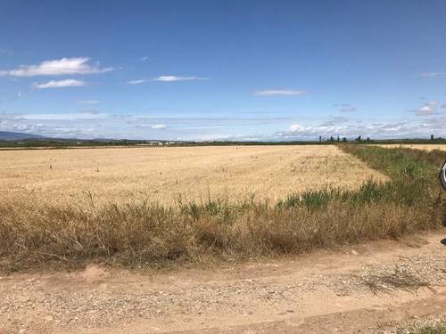 imagen 1 de Venta de finca en Calahorra (La Rioja)