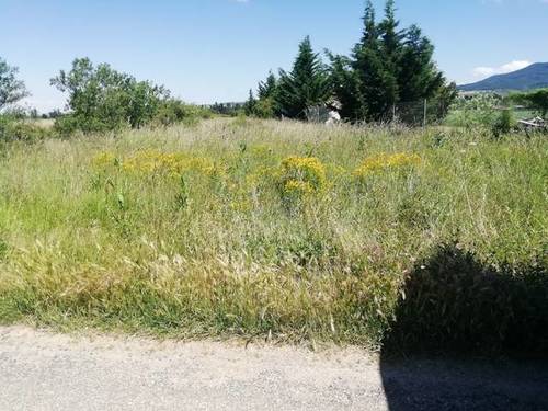 imagen 1 de Venta de finca en Santo Domingo de la Calzada (La Rioja)