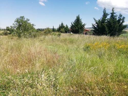 imagen 1 de Venta de finca en Santo Domingo de la Calzada (La Rioja)
