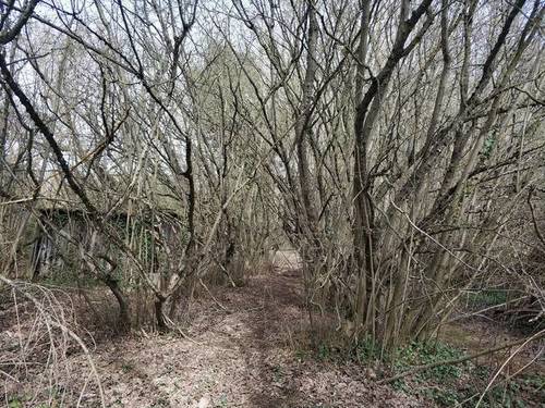 imagen 1 de Venta de terreno en Cenicero (La Rioja)