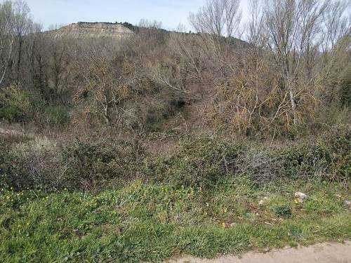 imagen 2 de Venta de terreno en Cenicero (La Rioja)