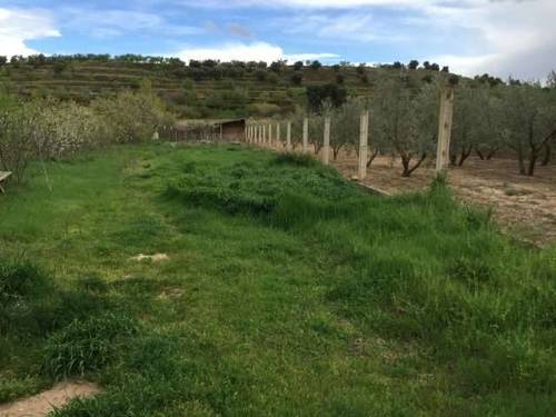 imagen 1 de Venta de finca en Arnedo (La Rioja)