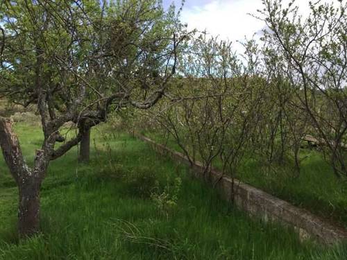 imagen 1 de Venta de finca en Arnedo (La Rioja)