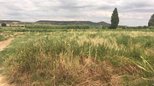 imagen 1 de Venta de finca en Navarrete (La Rioja)