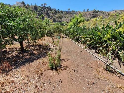 imagen 1 de Venta de estupenda finca en Santa Brígida (Las Palmas)