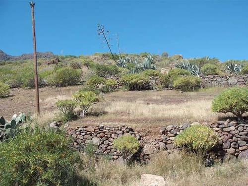 imagen 2 de Venta de parcela en el Hoyo, Tocodoman (Las Palmas)