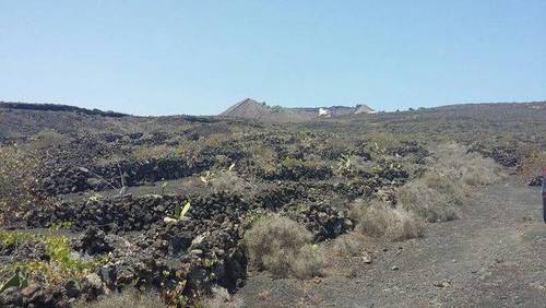 imagen 2 de Venta de finca en Haría (Las Palmas)