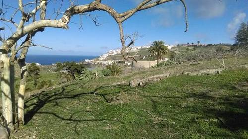 imagen 1 de Venta de finca en Las Palmas de Gran Canaria.