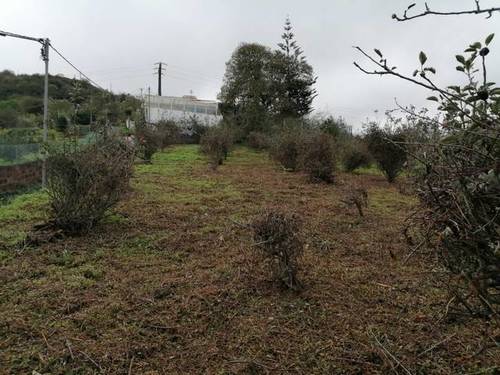 imagen 1 de Venta de finca en Valleseco (Las Palmas)