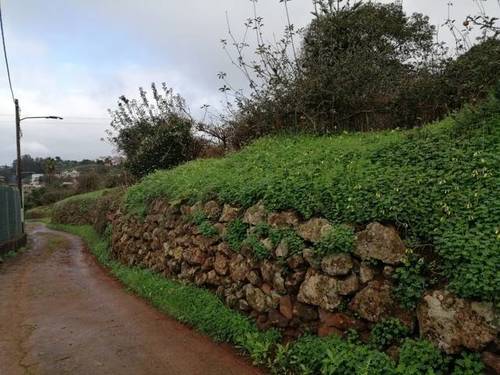 imagen 3 de Venta de finca en Valleseco (Las Palmas)