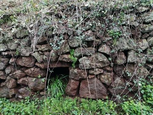 imagen 2 de Venta de finca en Valleseco (Las Palmas)