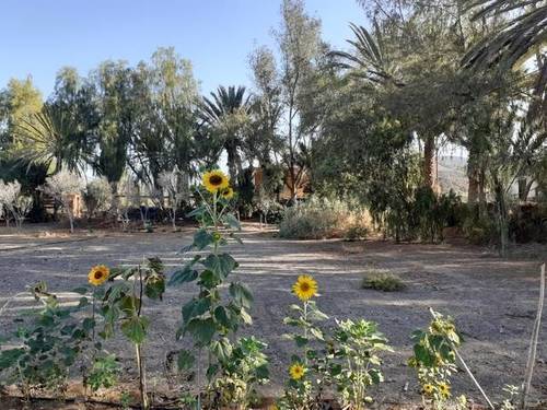 imagen 1 de Venta de estupenda finca en Puerto del Rosario (Las Palmas)