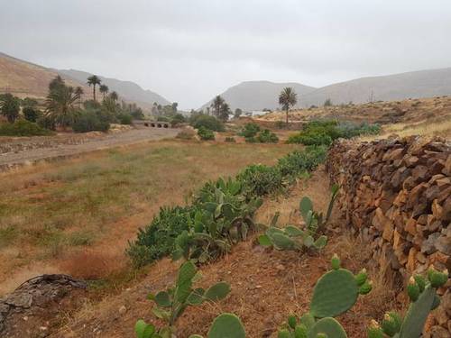 imagen 2 de Venta de finca en Vega de Río Palmas (Las Palmas)