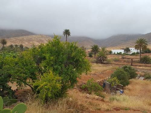 imagen 3 de Venta de finca en Vega de Río Palmas (Las Palmas)