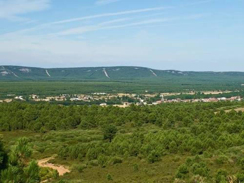 imagen 1 de Venta de fincas de regadío en Castrocontrigo (León)