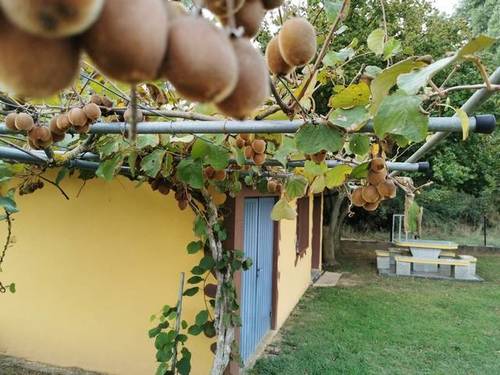 imagen 1 de Venta de excelente finca en Ponferrada (León)