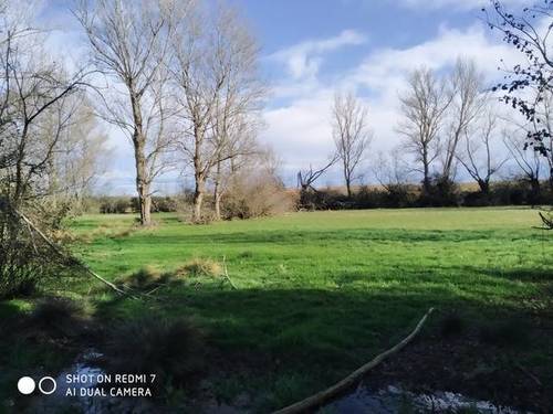 imagen 1 de Venta de estupendo prado en Golpejar de la Sobarriba (León)