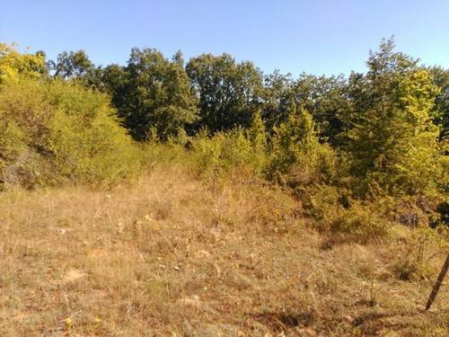 imagen 1 de Venta de parcela en La Mata de la Riba (León)