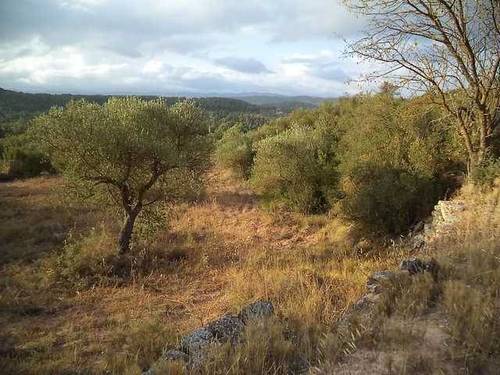 imagen 1 de Venta de estupenda finca Cervia De Les Garrigues (Lérida)