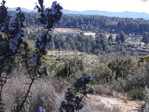 imagen 1 de Venta de estupenda finca Cervia De Les Garrigues (Lérida)