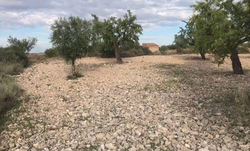 imagen 2 de Venta de fincas en Sarroca de Lleida (Lérida)