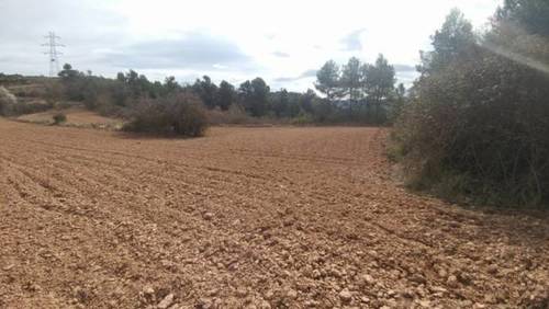 imagen 1 de Venta de terreno en Tarrés (Lérida)