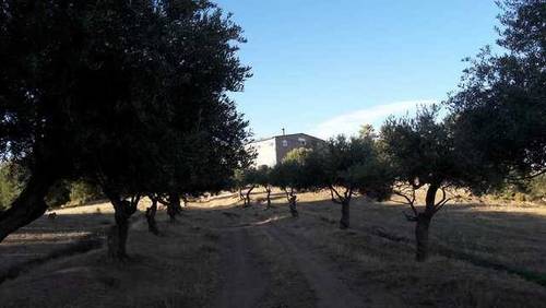 imagen 1 de Venta de finca en Bassella (Lérida)