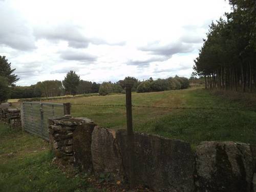 imagen 1 de Venta de varias fincas en Esperante (Lugo)