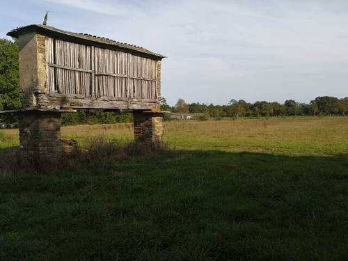 imagen 3 de Venta de impresionante finca en Castro de Rey (Lugo)