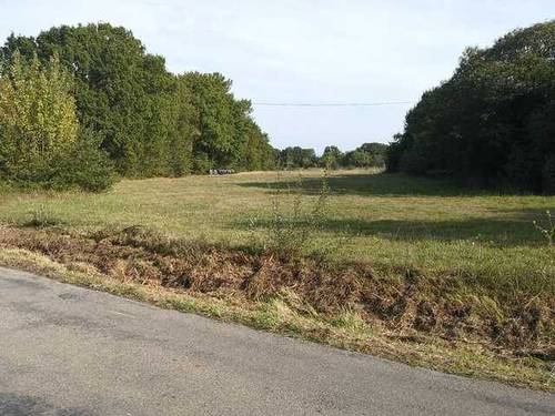 imagen 5 de Venta de impresionante finca en Castro de Rey (Lugo)
