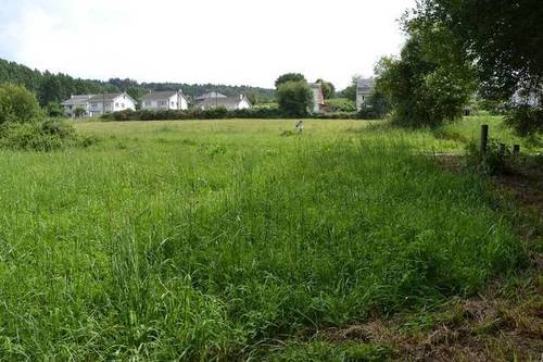 imagen 1 de Venta de finca en Lugo (Lugo)