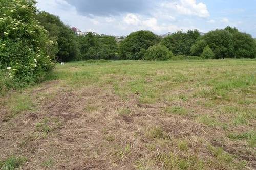 imagen 1 de Venta de finca en Lugo (Lugo)