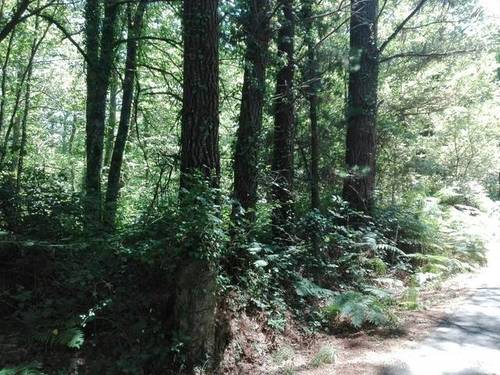 imagen 2 de Venta de preciosa finca en Lugo (Lugo)