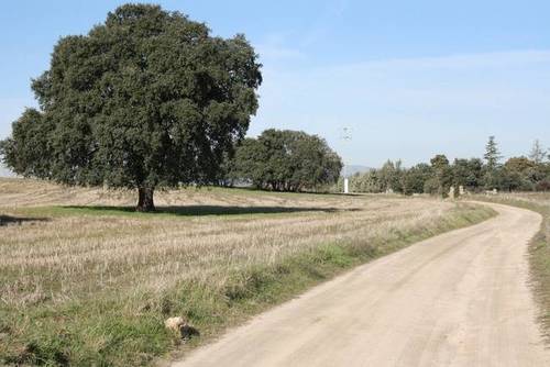 imagen 1 de Venta de terreno en Brunete (Madrid)