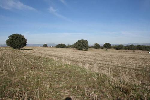 imagen 1 de Venta de terreno en Brunete (Madrid)