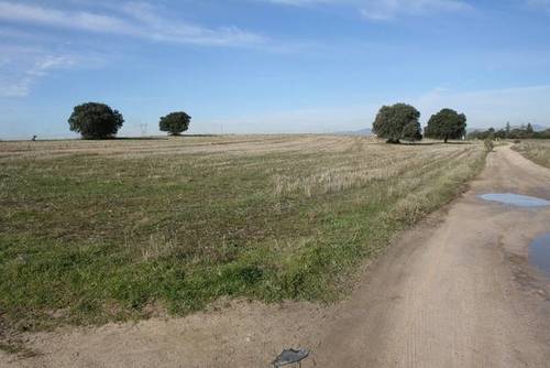 imagen 2 de Venta de terreno en Brunete (Madrid)