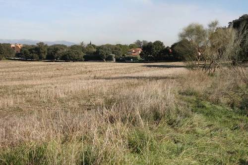 imagen 1 de Venta de finca en Brunete (Madrid)