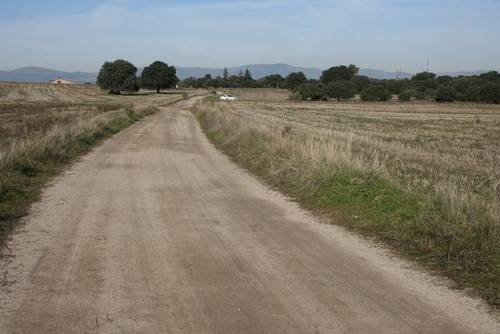 imagen 1 de Venta de finca en Brunete (Madrid)