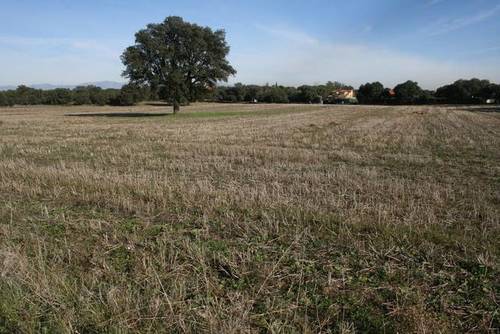 imagen 2 de Venta de finca en Brunete (Madrid)