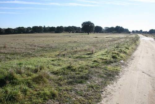 imagen 3 de Venta de finca en Brunete (Madrid)