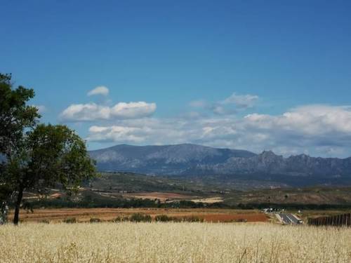 imagen 2 de Venta de estupenda finca en Talamanca de Jarama (Madrid)