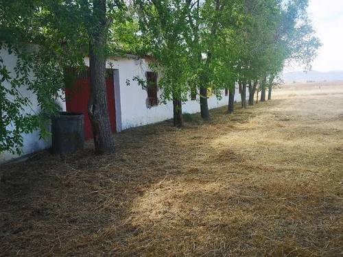 imagen 1 de Venta de estupenda finca en Talamanca de Jarama (Madrid)