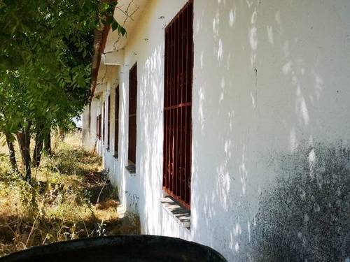 imagen 3 de Venta de estupenda finca en Talamanca de Jarama (Madrid)