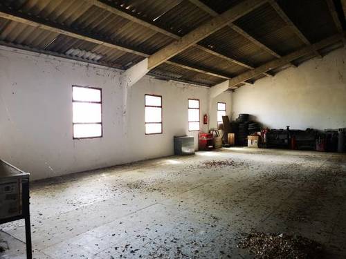 imagen 4 de Venta de estupenda finca en Talamanca de Jarama (Madrid)